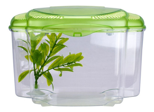 Imagen 2 de 3 de Beta Kit Verde Acuario Peces Beta Envío Gratis