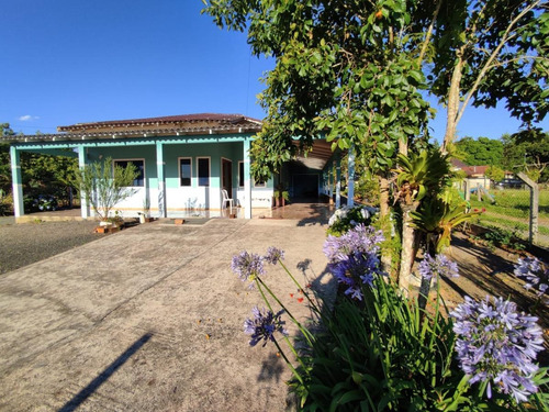 Imagem 7 de 15 de Casa Para Venda Em Piên, Trigolândia, 3 Dormitórios, 2 Banheiros, 10 Vagas - Pie2200_1-2209259