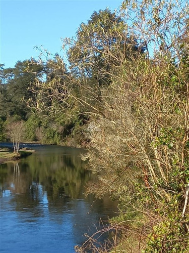 Imagen 9 de 23 de Agrícola En Venta En Puerto Montt