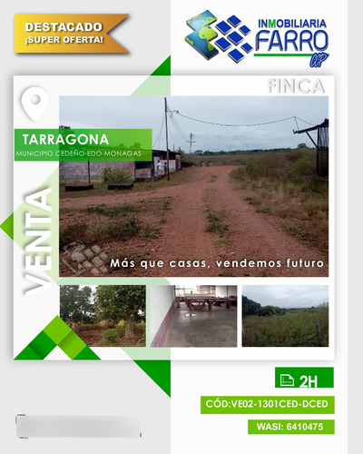 Imagen 1 de 10 de Se Vende Finca En Terragona Municipio Cedeño Ve02-1301ced-dced