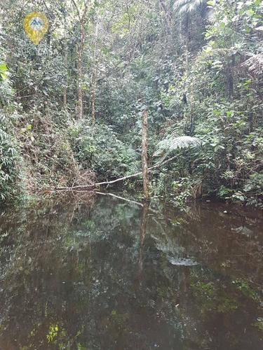 Imagem 14 de 30 de Sítio Com Cachoeira Privativa Em Santa Teresa. - Si0002