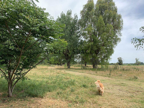 Imagen 18 de 30 de Hermoso Campo De 5 Hectáreas