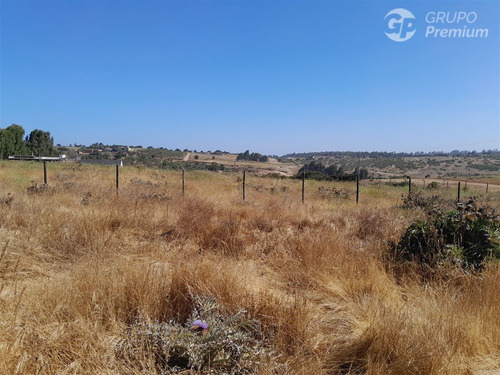 Agrícola En Venta En Quintero