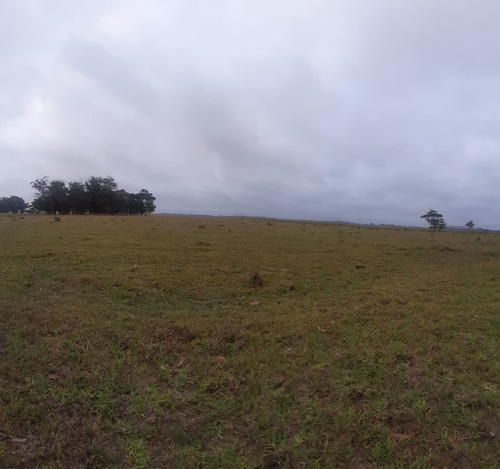 Venta Campo Chacra Rocha Cabo Polonio 20 Hectáreas Ruta 10