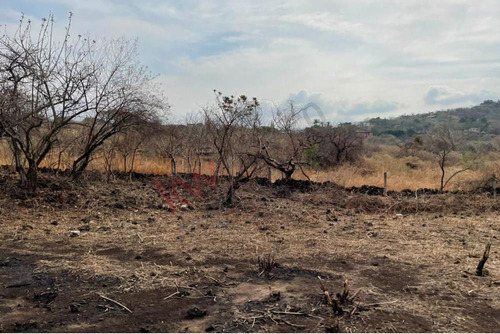 Venta De Terreno En Amatlán, Tepoztlán