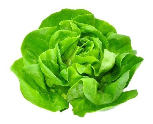 Semillas Lechuga Mantecosa Crimor A Granel X 50gr