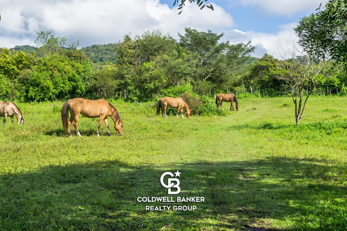 Finca En Vaqueros