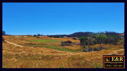 Parcelas A Orilla De Carretera, Sta. Juan (67691)