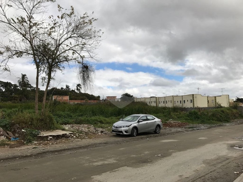 Imagem 11 de 17 de Terreno Residencial À Venda, Cidade Boa Vista, Suzano. - Reo326389