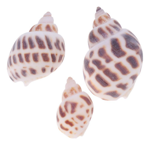 De Playa Mixtas Mar Artesanías Marinas Acuario # 2 500g