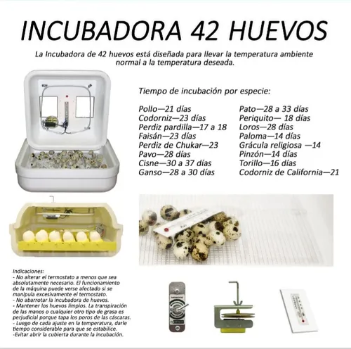 Incubadora De Huevos De Aves