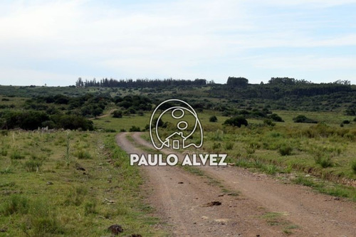 Imagen 14 de 30 de Chacras-venta-cerros-azules-ch071