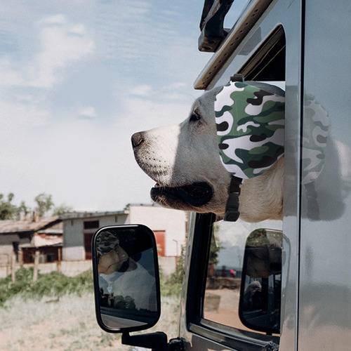 Orejeras Protectoras Para Perros Correas Ajustables Tapones