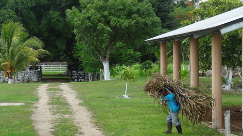 Gran Rancho En Venta En Buctzotz