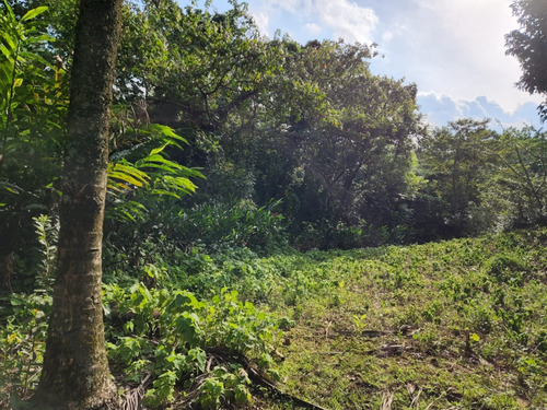 Se Vende De Oportunidad Finca En Rancho Los Mogotes Y Negociable