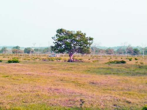 Venta Terreno 8224 M² Frente Al Estero Tuxpan Veracruz