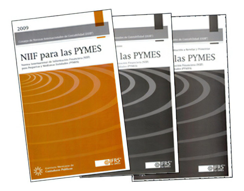 Niif- Para Las Pequeñas Y Medianas Entidades (pymes) Vol., De Varios Autores. Serie 6077620952, Vol. 1. Editorial Distrididactika, Tapa Blanda, Edición 2009 En Español, 2009