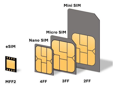 Chip Sim