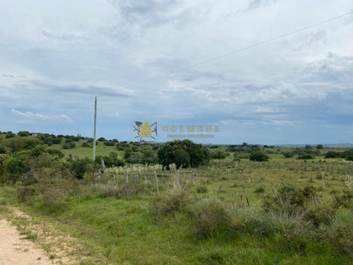 Campo En Garzon - Ideal Para Uso De Descanso - Consulte!!!!- Ref: 3606
