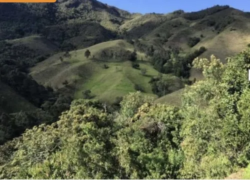 Bloque De 123 Hectareas Para Aguacate Hass En Abejorral