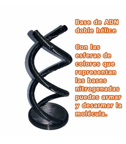 Adn Molécula