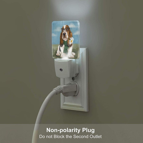 Basset Hound - Luz Nocturna Para Perro Con Luz Nocturna Led