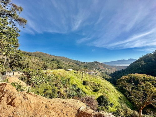 Se Vende Terreno 122.076m2 Los Salías Los Teques Miranda