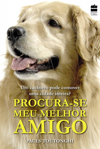 Procura-se meu melhor amigo, de Toutonghi, Pauls. Casa dos Livros Editora Ltda, capa mole em português, 2017