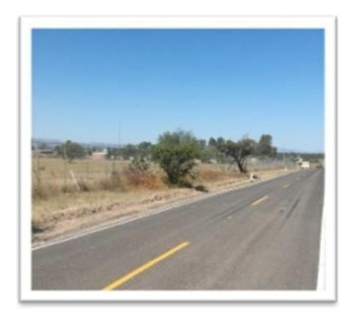 El Trigo
