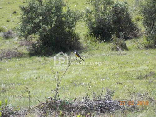 Imagen 15 de 30 de Venta Chacra 96has En Minas, Lavalleja