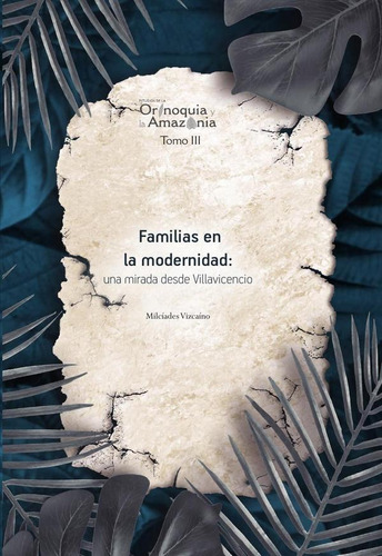 Familias En La Modernidad: Una Mirada Desde Villavicencio...