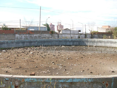 Imagen 5 de 7 de Terreno - Troncos Del Talar