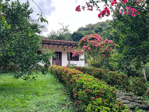 Finca En Venta En San Jerónimo Vereda El Berrial. Cod 9938