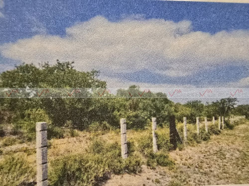 Centro De Cadereyta