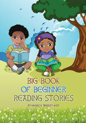 Libro Big Book Of Beginner Reading Stories - Bradley, Nao...