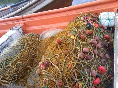 Filete Tren De Pesca