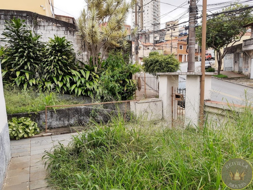 Imagem 19 de 24 de Terreno Na Região Da Mooca ,em Ótima Localização Com 312 Mts - Ca00052 - 34942017
