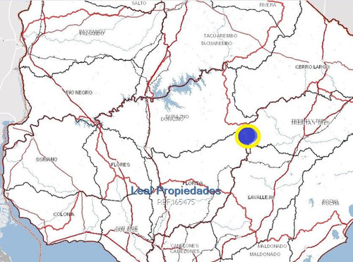 Sensacional Campo Forestal En Florida De 619 Hectáreas