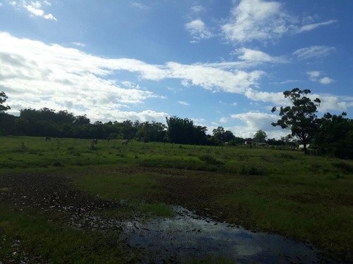Imagem 17 de 18 de Fazenda À Venda, 63000 M² Por R$ 2.500.000,00 - Campo Bonito - Torres/rs - Fa0002