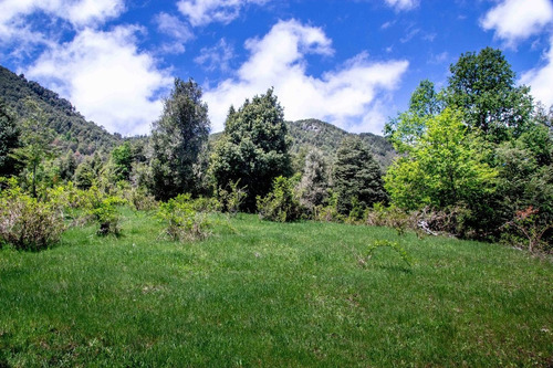 1 Hectárea Con Río Y Bosque | Tinquilco - Huerquehue - Pucón