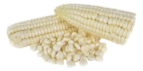 Milho Cancha Branco 2 Kilo Maiz Peruano Andino