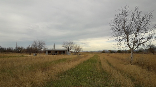 Imagen 10 de 19 de Finca Con Casa En Venta En San Rafael Mendoza, Rama Caida
