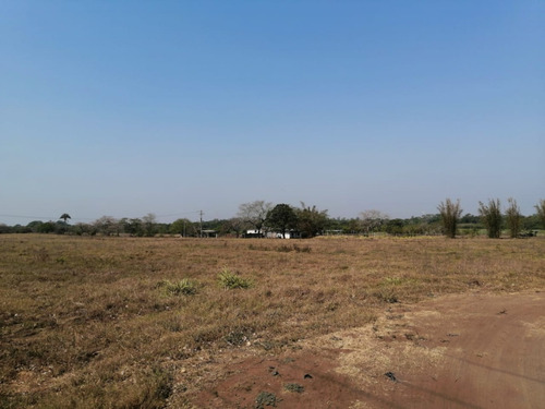 Hectáreas En Venta Veracruz Localidad El Pando, Veracruz.