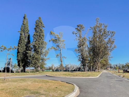 Lote En Venta En Barrio Santa Sofia, Pilar Del Este