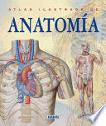 Libro Atlas Ilustrado De Anatomía