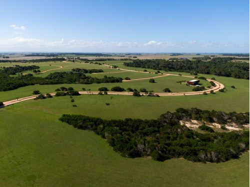 Imagen 9 de 13 de Terreno En Venta En Las Garzas