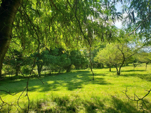 Imagen 9 de 14 de Chacra En Venta En Conchillas. 3 Has De Campo Y Arroyo.