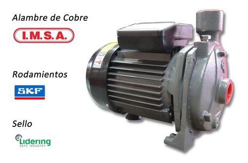 Bomba Centrifuga Gl 1 Hp Elevadora De Agua