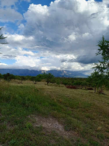 Terreno En Arroyo De Los Patos Con Vista Al Valle (t40)