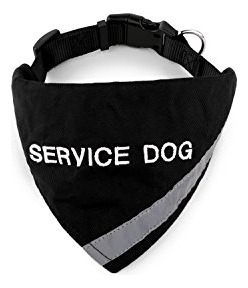 Doggie Stylz Service Dog Bandana Con Faja Reflectiva 9gll0